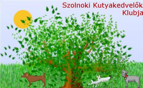 szkk_kep.jpg